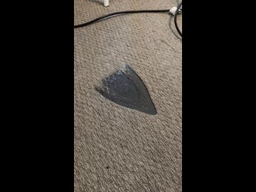 ホモと見るカーペットの修繕