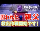 王ともあろうものが情けないぜ【ゼルダの伝説 知恵のかりもの】#25