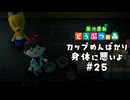 暗いしきちゃないキツネさんのお店【あつまれ どうぶつの森】#25