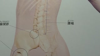 【精神破壊】の直後【骨格崩壊】が始まるこれからのワクチンとシェディング。1000002577