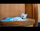 【猫旅館】あっ、浴衣ですか_はいどうぞニャン