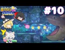 【ゆっくり実況】イカタマと紡ぐ絆と友情の大冒険 Part10【星のカービィWii デラックス】