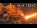 【ELDEN RING】パにはパ