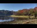 朝から中禅寺湖の菖蒲ヶ浜にて紅葉鑑賞 - 2024年10月27日 (Full HD)