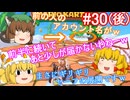 【ゆっくり実況】ゆっくり八雲家のマリオカート8DX　Part30:Re(後)