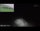 天皇賞(秋)2024 ドウデュース騎乗 武豊騎手のジョッキーカメラ映像(映像に乱れあり)