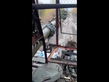 ホモと見るロシア軍からの贈り物