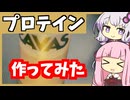 【結月ゆかり×琴葉茜】プロテインを作ってみた(^0_0^)【VOICEROIDキッチン】