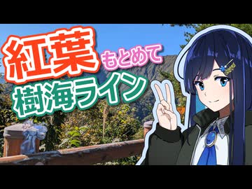 紅葉もとめて樹海ライン