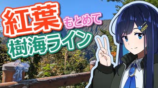 紅葉もとめて樹海ライン