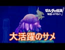 ガブフィン大活躍のウズヨビ戦　ゼルダの伝説知恵のかりもの実況プレイPart15