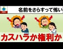 【ゆっくり】自衛隊とカスハラっぽい何か【雑談】
