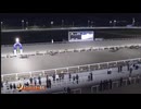未来優駿２０２４ 報知新聞社杯 ＪＲＡ重賞級認定競走 第2回ネクストスター高知 ドライブアウェイ