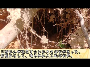 淫夢想起談「家の裏の穴」