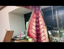 【料理】ハマチ刺身