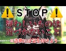 しらネコちゃんご報告　切り抜き