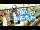 【ボルヴィック】いつの間にか販売終了！？キリンビバレッジから契約を切られたミネラルウォーター #猫マニ #猫ミーム