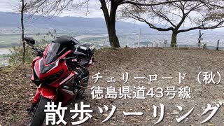 【バイク車載】散歩ツーリング　徳島県道４３号チェリーロード（秋）母恋しぐれ茶屋展望台まで【CBR650R】
