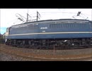20241028　EL群馬県民の日上り