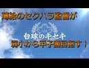 白球のキセキvol.1　セクハラ監督が甲子園を目指す！【ゲーム実況】【プロスピ2024】プロスピ版栄冠ナイン