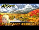 メタファー　秋と冬の交点に行く　常氷樹林に向かう　９月１５日（昼）　メインストーリー攻略　＃２８６　【メタファー：リファンタジオ】