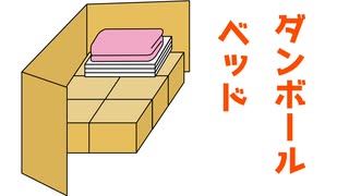 手作りダンボールベッドを使って半年の感想