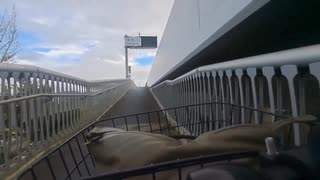 【抹茶の町】愛知県西尾市を散策してみた。道の駅にしお岡ノ山から西尾市の茶畑まで魅力を満喫