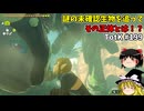 【ゆっくり実況】初めてのティアーズオブザキングダム！ part199 【ティアーズオブザキングダム】