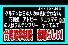 24・10・29夜　台湾脳選挙システ素晴らしい！