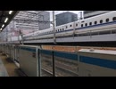 VID_20231126_133713