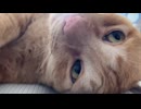 ちょっと不機嫌？