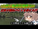 【1分釣り動画投稿祭】トップに出る謎の魚を釣る【VOICEROIDフィッシング】