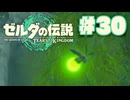 【ぽつぽつ実況 #30】ワッカ遺跡【ティアーズオブザキングダム】