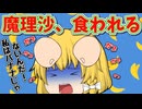 【ゆっくり茶番】魔理沙の髪はバナナ！？