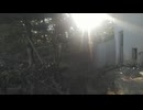 鯖江市西山動物園　レッサーパンダ　ミンファ