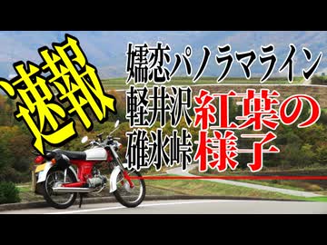 【ななまる日記】速報10/26日の秋の嬬恋～軽井沢~碓氷峠の紅葉の様子