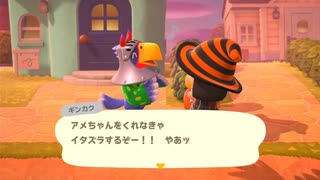 【あつ森】セラスクパラダイスへの道 part15