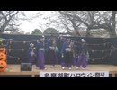 てんしゃばフェスタ踊り子隊　月咲く夜に　多摩湖町ハロウィン祭り