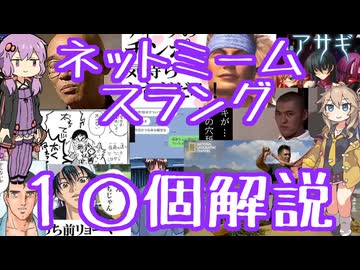 今さら人に聞けないネットのネタ解説その10【下ネタ編】