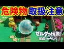 子供に危険物を見せびらかすぜぇ～【ゼルダの伝説 知恵のかりもの】#28
