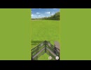 【サイレンススズカ視点】CLASSIC 2024/10  Aグループ決勝【きなこ】