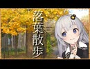 落葉さんぽ in豊平公園