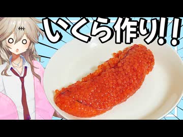 【料理】「筋子」からイクラを作ってみよう！【VOICEVOX春日部つむぎ】
