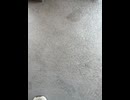 75212574966__E3172066-B7DE-4C9E-A02E-4E4C7DB37659