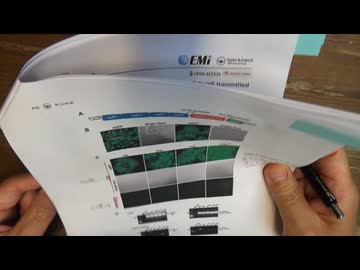 ベネズエラ馬脳炎コロナスパイクレプリコンの論文