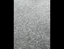 75212833748__8C0FEE98-1C46-4250-A78B-6F9B9CF26AFA