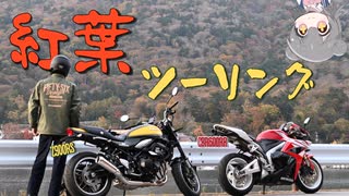 ﾂｰﾘﾝｸﾞは計画性が必要だし中禅寺湖は平日に行くべき【小春六花】