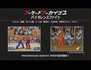 2024年 10月下　アーケードアーカイバー ( バイオレンスファイト、メタモルフィックフォース、雷軋斗 ライアット )