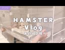 【ASMR Vlog】独り立ち6か月。念願のハムスターお迎え準備…♡