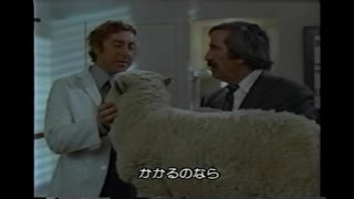 ソドミーって何